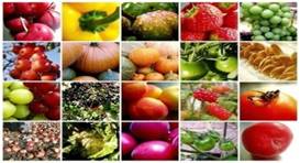 perishable and/or fresh products